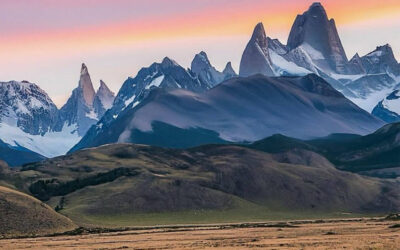 La Presencia Biodinámica y el Poder de la Observación