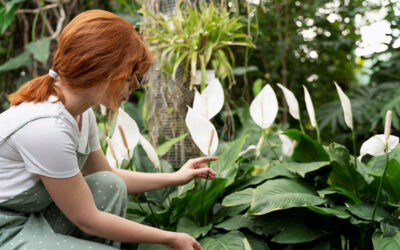 El Arte de Escuchar desde la Presencia Biodinámica®: Un Camino hacia la Integración y el Bienestar