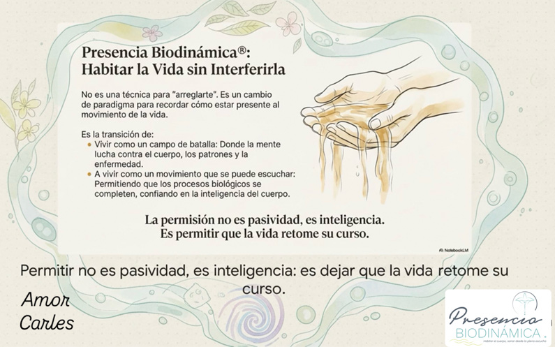 El conflicto no es la vida: es la separación